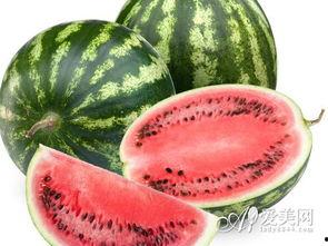 宠爱免费观看全集西瓜,温情治愈，宠物情缘感动人心