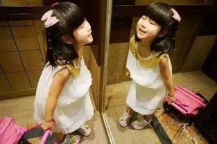 镜子里我西野翔在线播放,揭秘“我西野翔”在线播放背后的神秘面纱