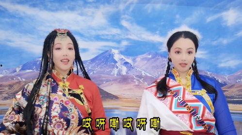 青海藏歌视频,青海藏歌视频魅力赏析