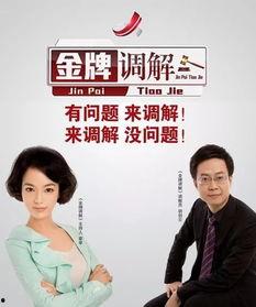 金牌调解替身老公,替身老公的甜蜜纠葛