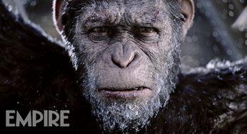 猩猴崛起3免费观看,自由之战，免费观影盛宴