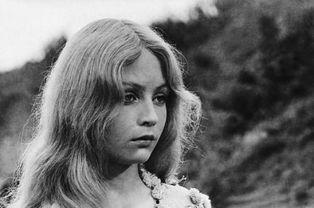 美人鱼av 欧美,欧美视角下的奇幻海洋之旅