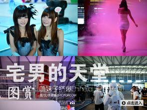 宅男天堂242AV,242AV的神秘世界