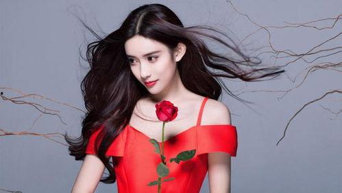 孟子义娱乐爆料,揭秘娱乐圈幕后真相