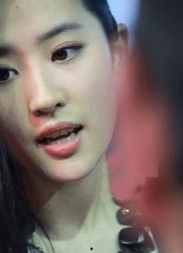 步入老态的女明星,步入老态的女明星风采依旧